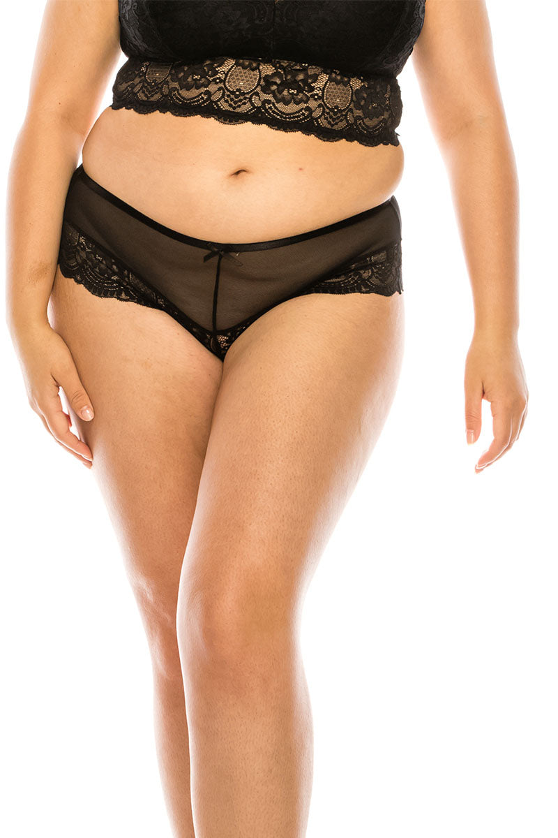 Queen Mesh Bikini Underwear w/ Lace trim